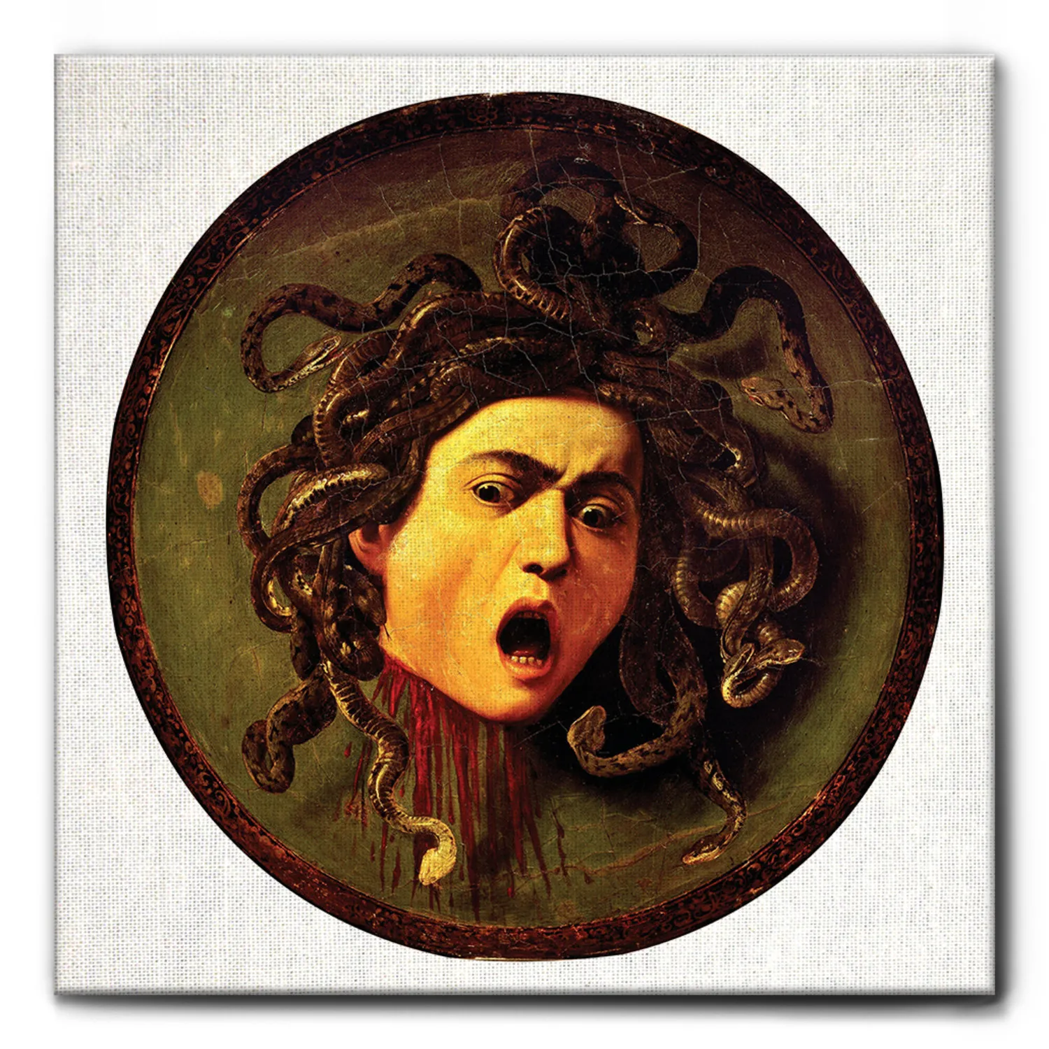 Caravaggio Medusa Wdesign