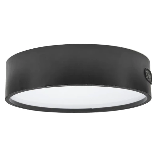 LAMPADA DA SOFFITTO NORTON-NERO