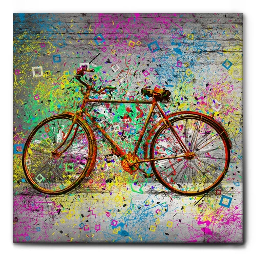 QUADRO STREET ART - BICICLETTA